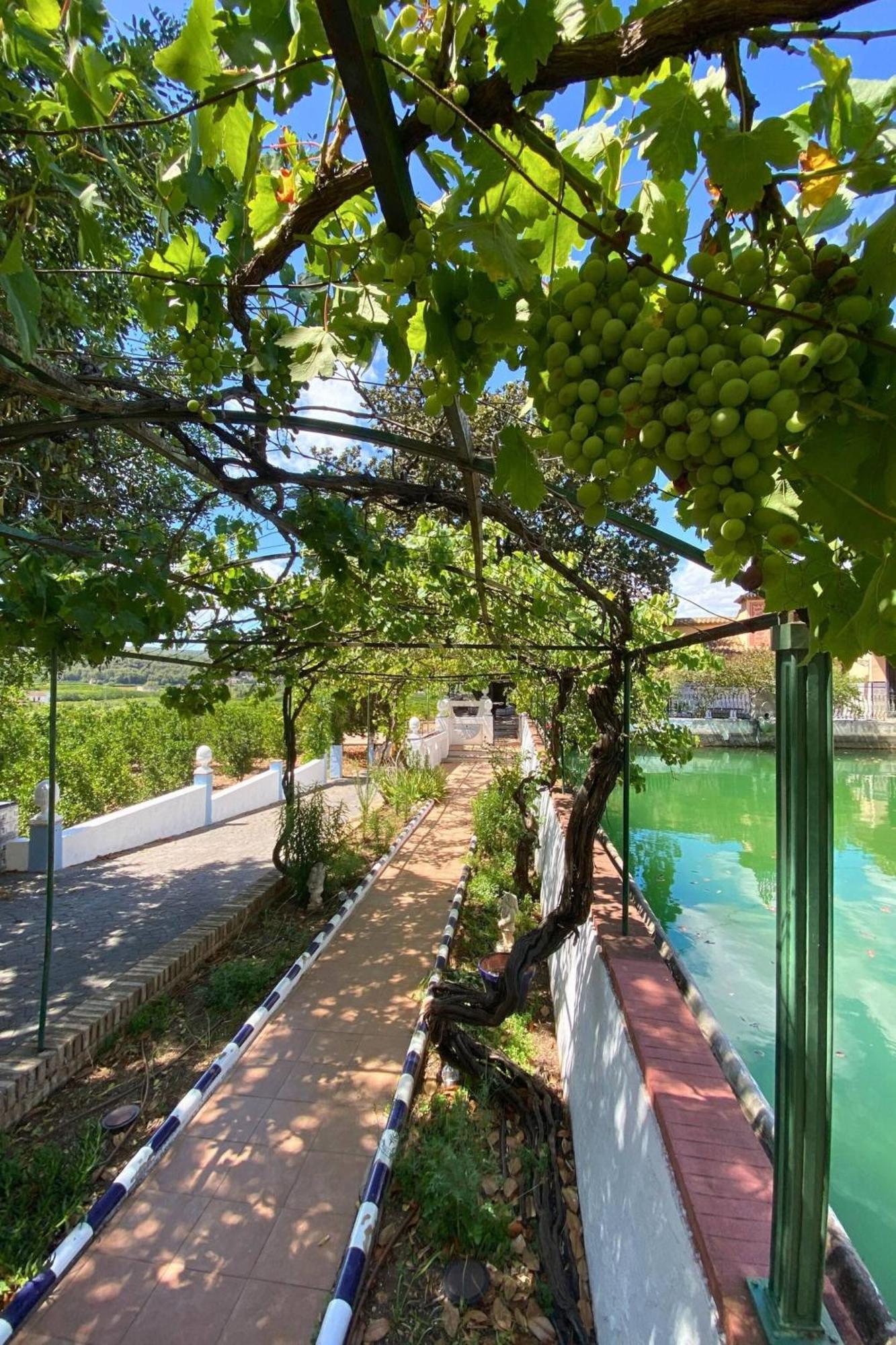 Casa Magnolia, A Rural Paradise House With Pool Alzira Ngoại thất bức ảnh