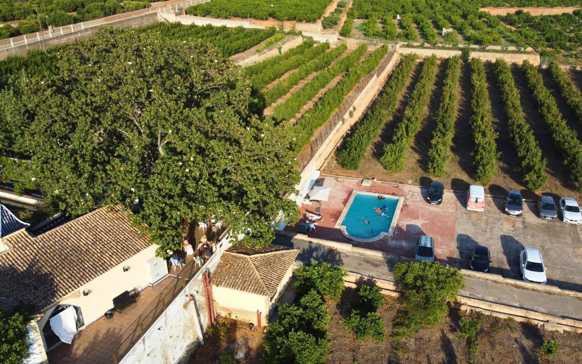 Casa Magnolia, A Rural Paradise House With Pool Alzira Ngoại thất bức ảnh