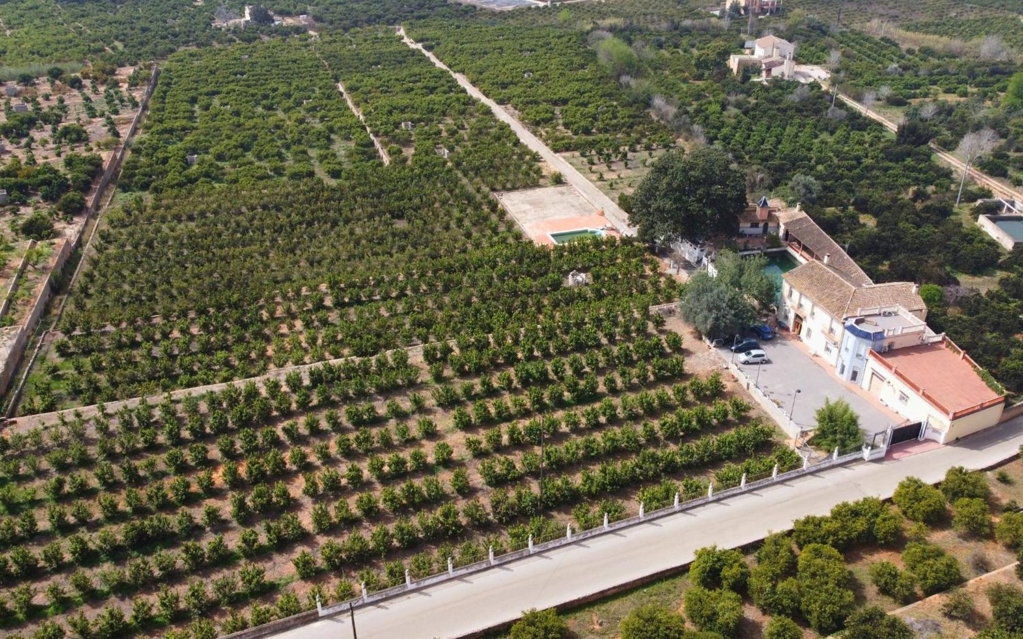 Casa Magnolia, A Rural Paradise House With Pool Alzira Ngoại thất bức ảnh